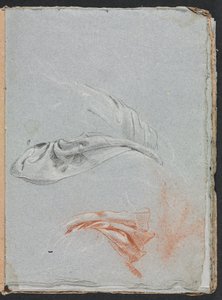 Verona Sketchbook: Drapery studies (page 17)