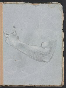 Verona Sketchbook: Left arm and hand (page 47) by Francesco Lorenzi