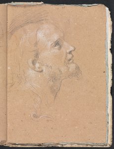 Verona Sketchbook: Male head in profile (page 91)