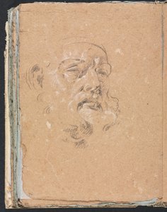 Verona Sketchbook: Male Head (detail)