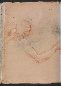 Verona Sketchbook: Nude with Head and Right Arm (detail)