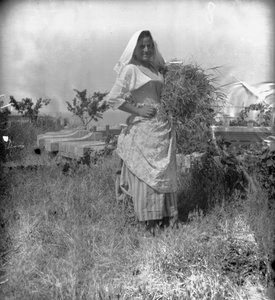 Portrait of Peasant, Abruzzo, Italy
