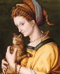 Lady With A Cat, c.1525-30