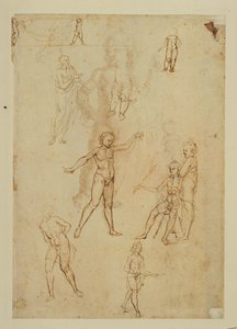Figure Studies by Francesco di Simone (attr. to)
