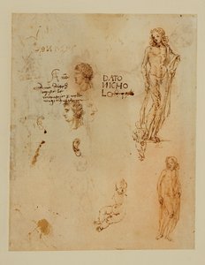 Three Profiles; Ears; Two Apollos by Francesco di Simone (attr. to)