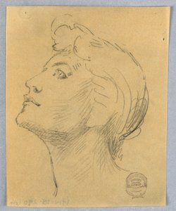 Head of a Woman