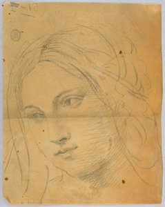 Sketch of Woman