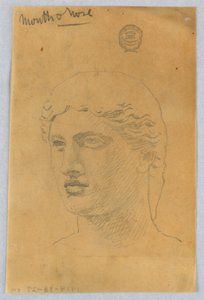 Sketch of Youth