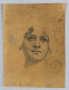 Sketch of a Woman