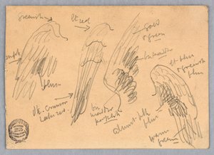 Sketches of Wings by Francis Augustus Lathrop