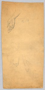 Studies of Hands and a Foot