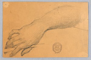 Study of Hand and Wrist