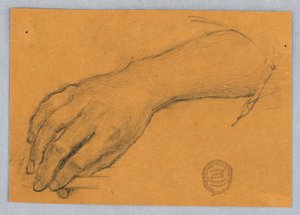Study of Hand and Wrist