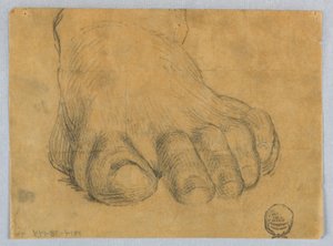 Study of Left Foot
