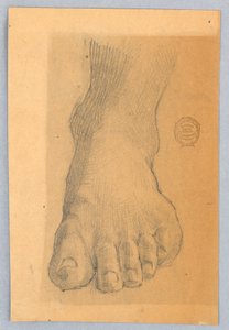 Study of Left Foot