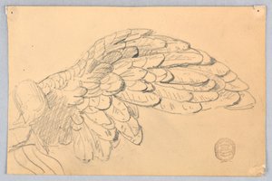 Study of a Wing