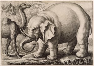 An Elephant and a Camel, engraved by Wenceslaus Hollar (1607-77) 1663 by Francis Barlow