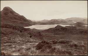 Arthog, Creigenen Lake by Francis Bedford