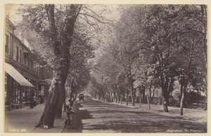 Cheltenham, the Promenade