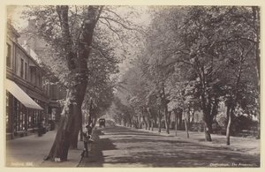Cheltenham, the Promenade