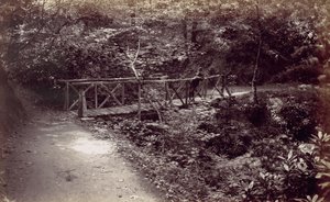 Colwyn Bay. Rustic Bridge in the Wood