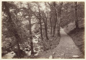Dolgelley, View in Torrent Walk