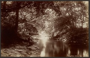 Elwy River, Cefn by Francis Bedford