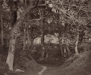 Glen Kenilworth by Francis Bedford