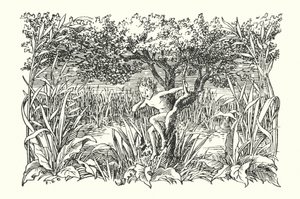 Merrie England: Robin Goodfellow by Francis Donkin Bedford