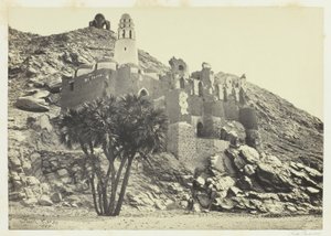 Doum Palm and Ruined Mosque, Philae