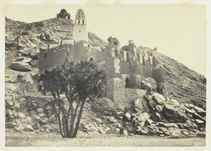 Doum Palm and Ruined Mosque, Philæ