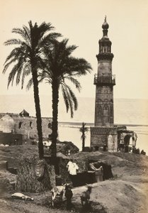"Egypt and Palestine": view of Girgeh, Upper Egypt by Francis Frith