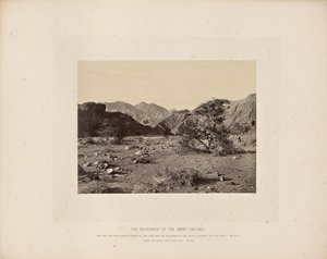 The Wilderness of Sin (Wady Shellal)