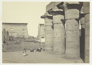 View at Luxor, 1857