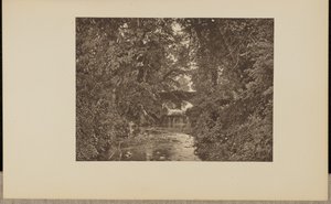 On the River Taunton by Francis Frith and Co.