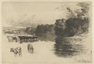 Cows by a River