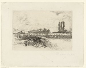 A Water Meadow