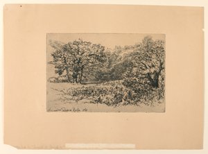A River-Side Devon