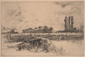 A Water Meadow