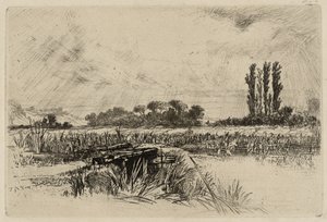 A Water Meadow
