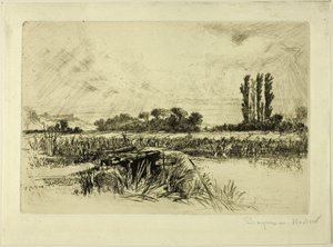 A Water Meadow
