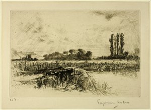A Water Meadow