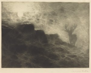 An Early Riser by Francis Seymour Haden