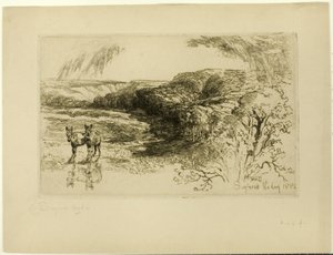Encombe Woods, No. II