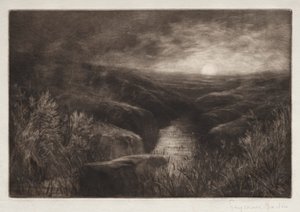Haunt of the Mosquito