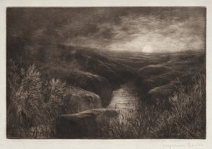 Haunt of the Mosquito