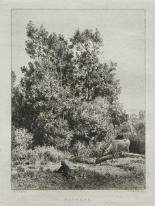 Landscape by Francis Seymour Haden