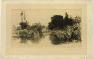 Shere Mill Pond, No. II (large plate) by Francis Seymour Haden