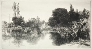 Shere Mill Pond The Larger Plate