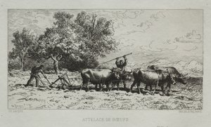 Team of Oxen by Francis Seymour Haden